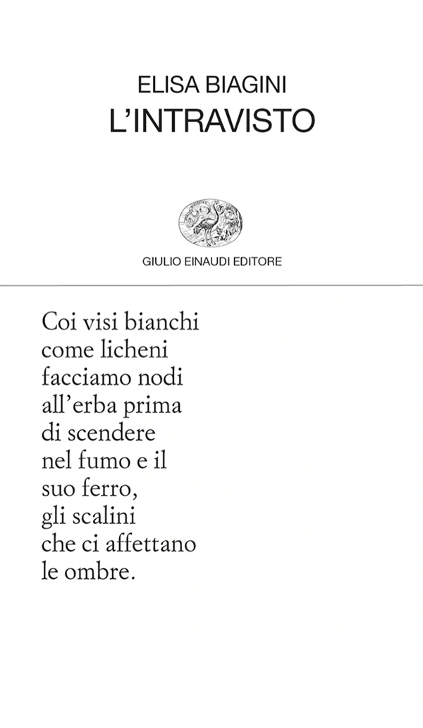 immagine per L'intravisto