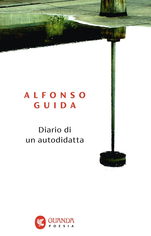 immagine per Diario di un autodidatta