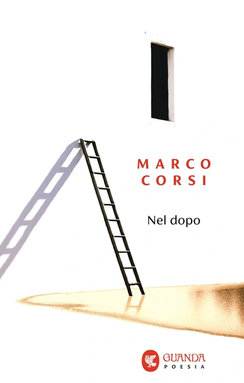 immagine per Nel dopo