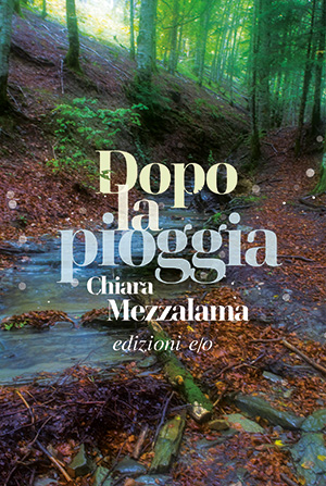 immagine per Dopo la pioggia