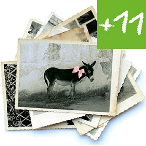 FB_PSR15_FuoriFuoco_Quadro